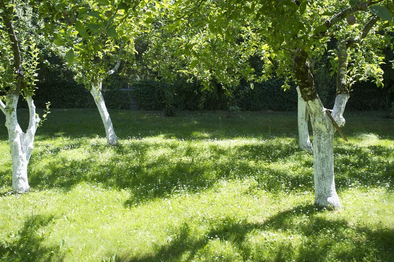 Cottage Du Manoir De Tregaray Sixt-sur-Aff Luaran gambar